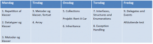 skema